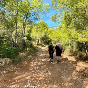 imgi_10_133361554_3601393796562754_612119747897363774_o